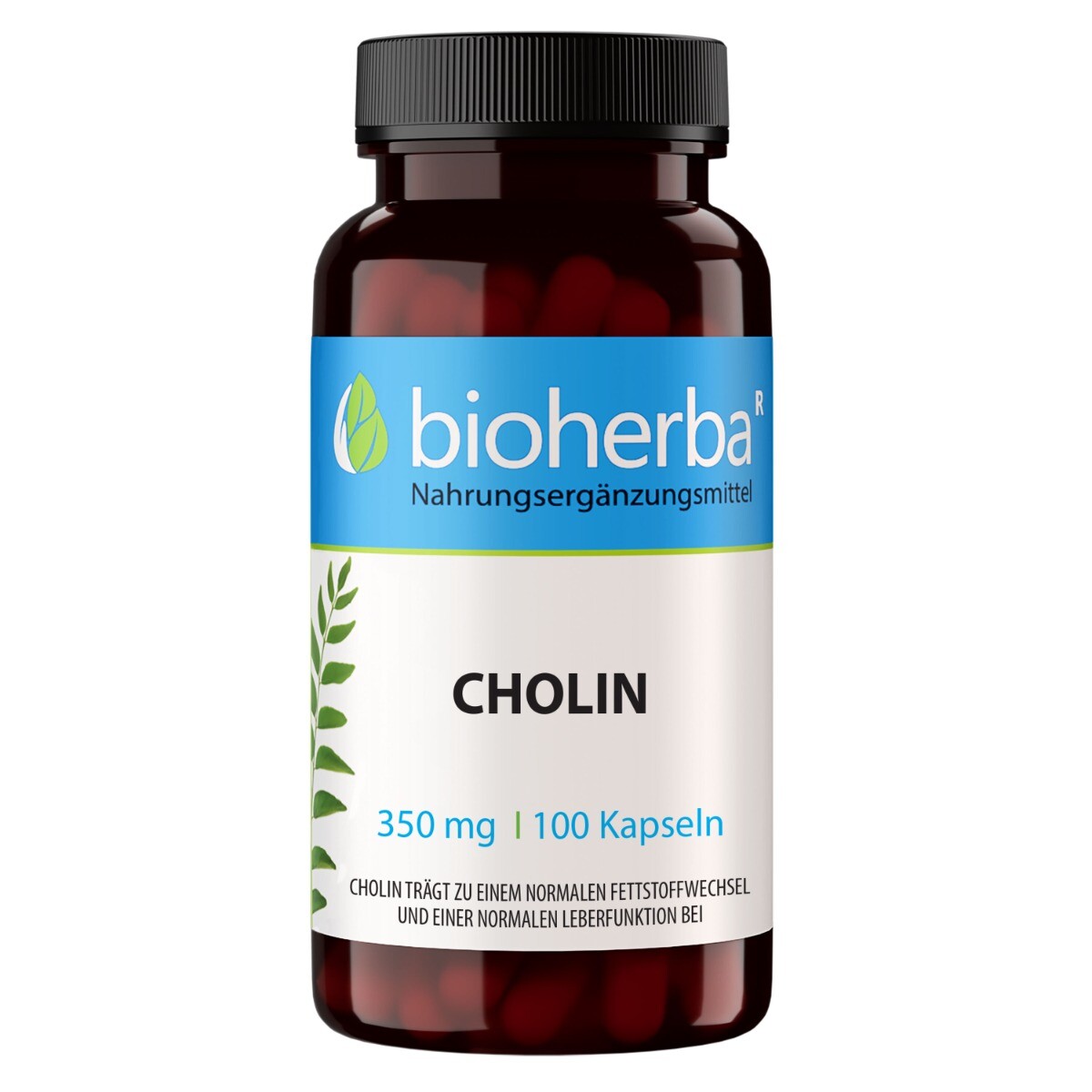 Cholin 350 mg - 100 kapslí - Bioherba