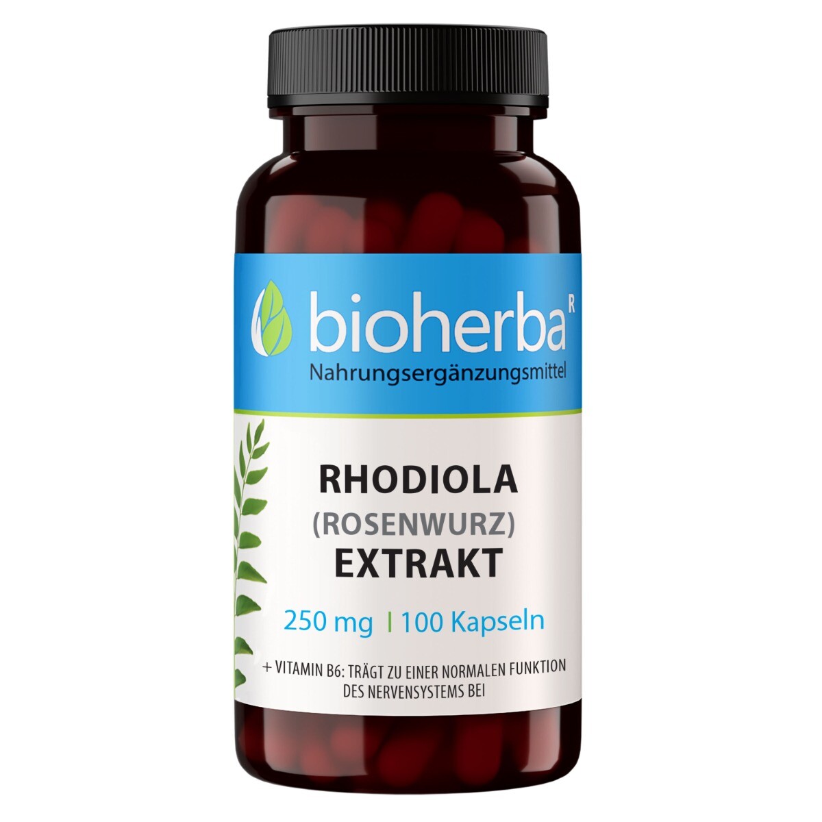 Rhodiola extrakt 250 mg – 100 kapslí – Bioherba