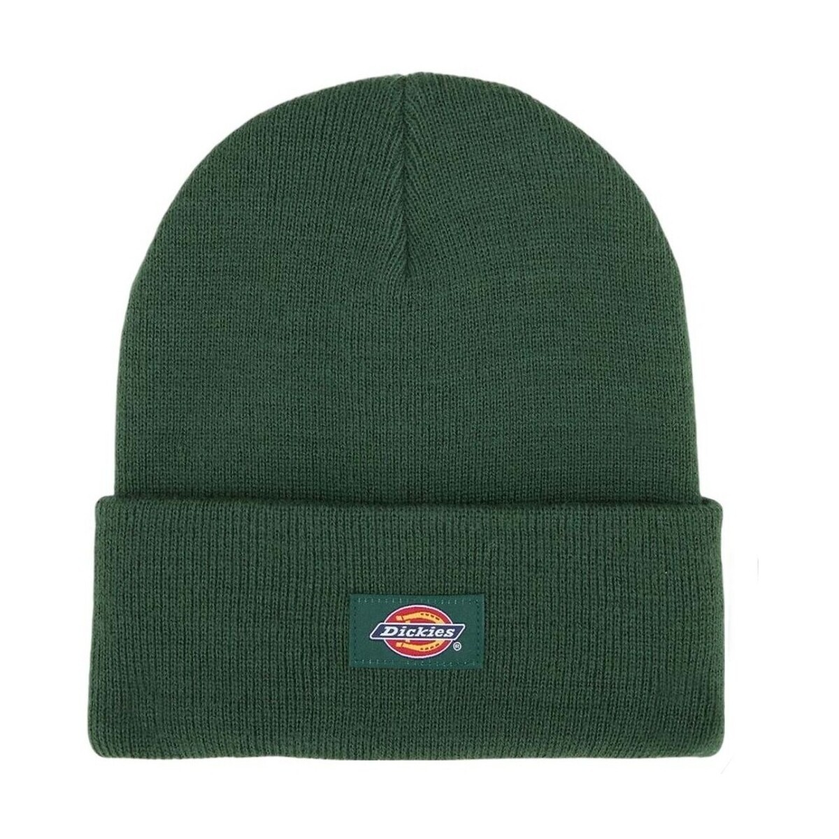 Dickies  Dk0a4z3rpin1  Zelená