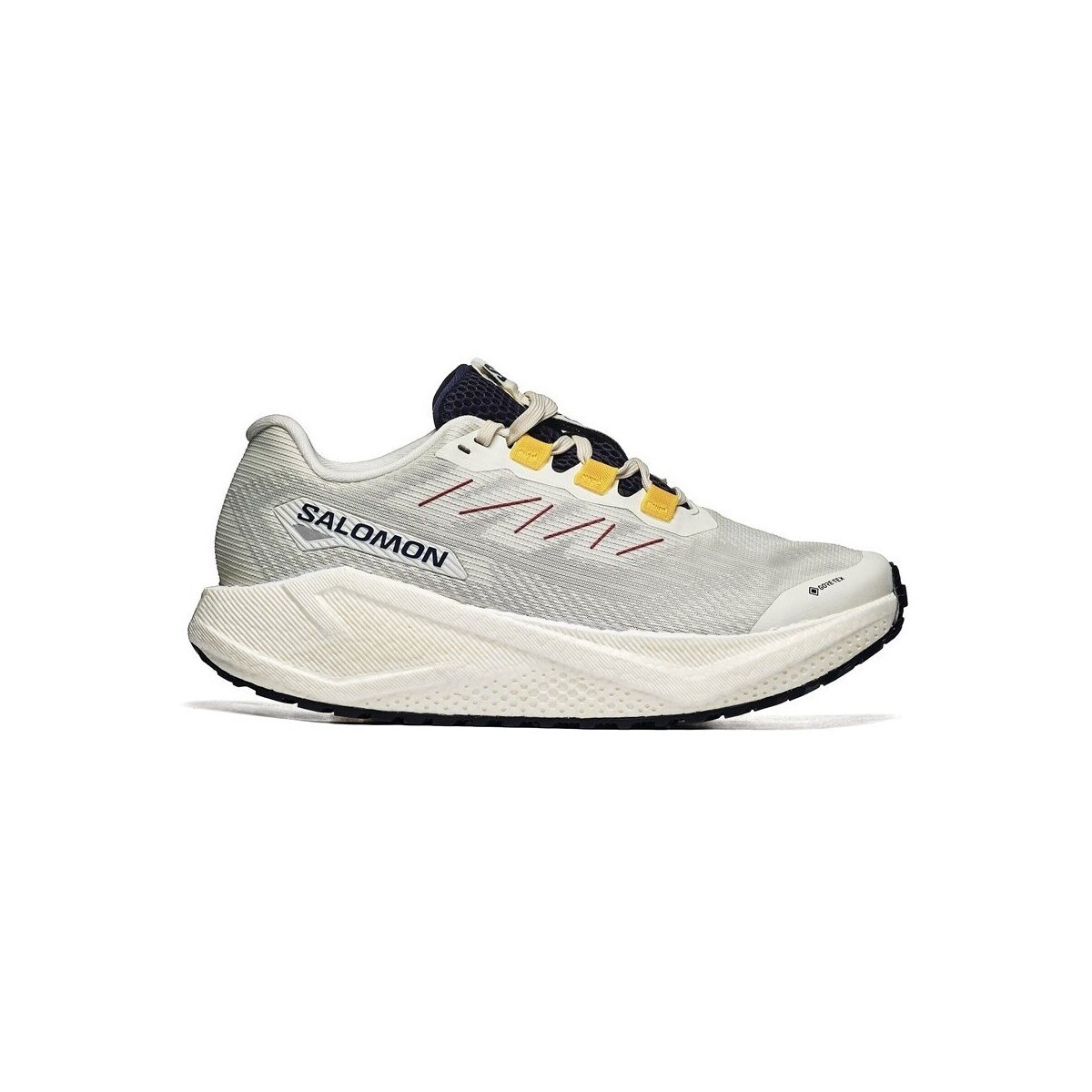 Salomon  Aero Blaze 3 Grvl GTX  ruznobarevne