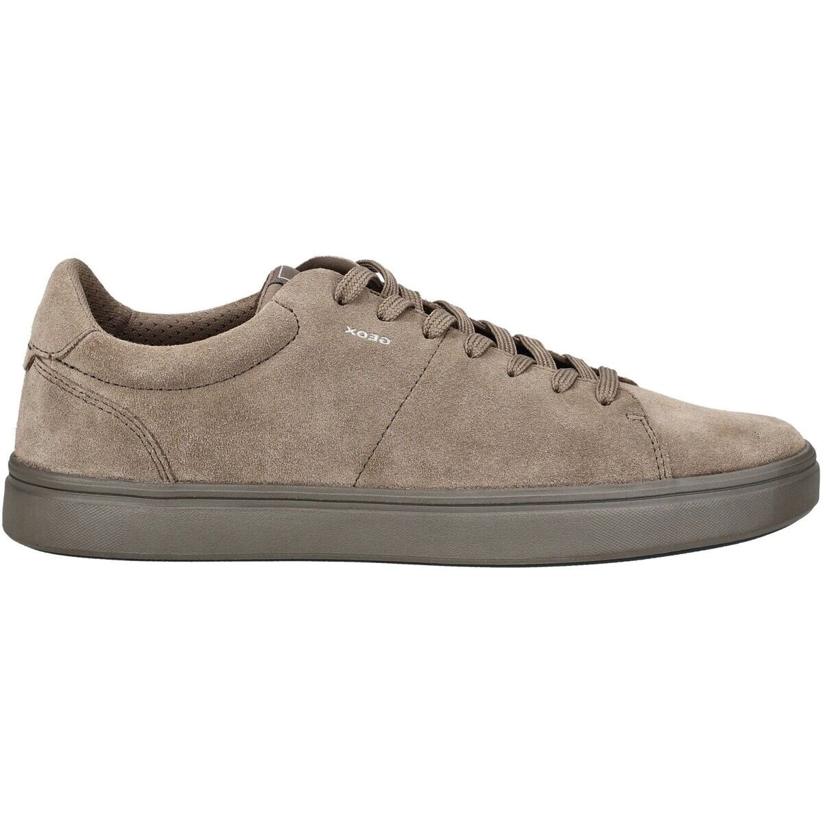 Geox  Sneaker BALTMOORE  Hnědá
