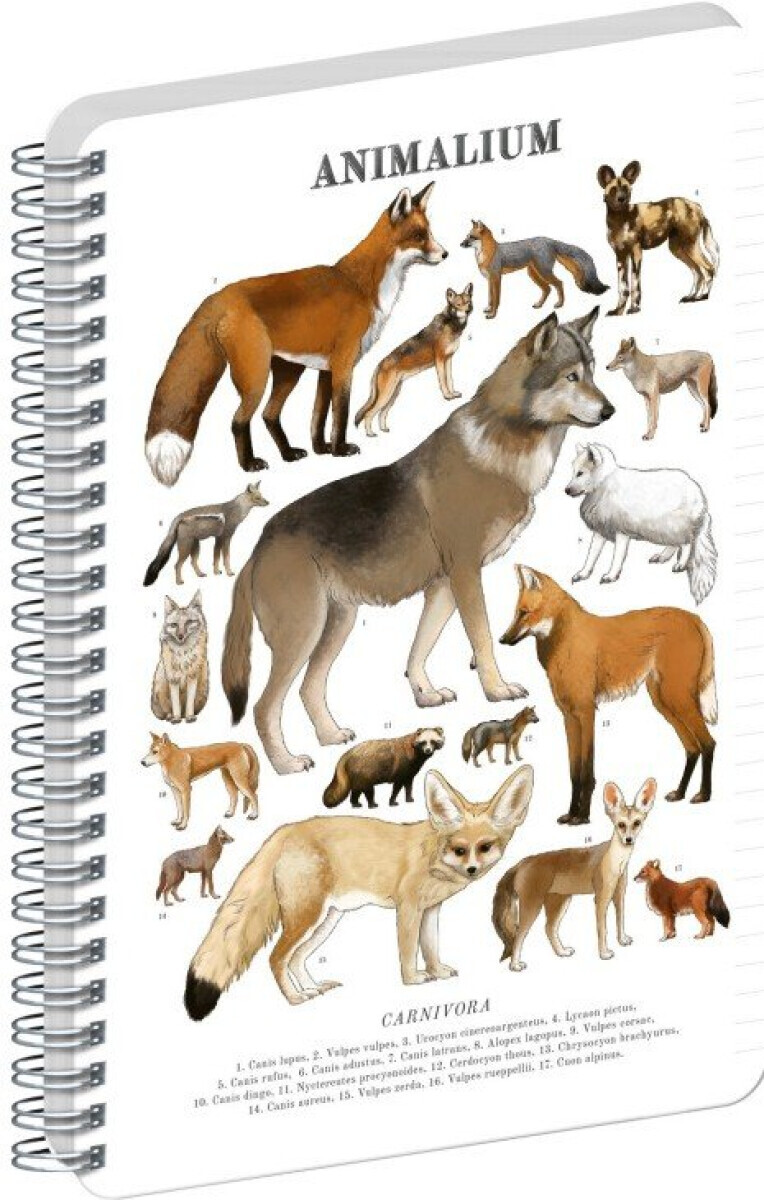 Spirálový blok Animalium – Psovité šelmy, linkovaný, A4