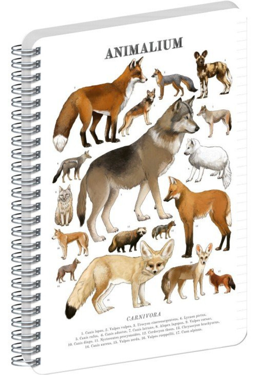Spirálový blok Animalium – Psovité šelmy, linkovaný, A5