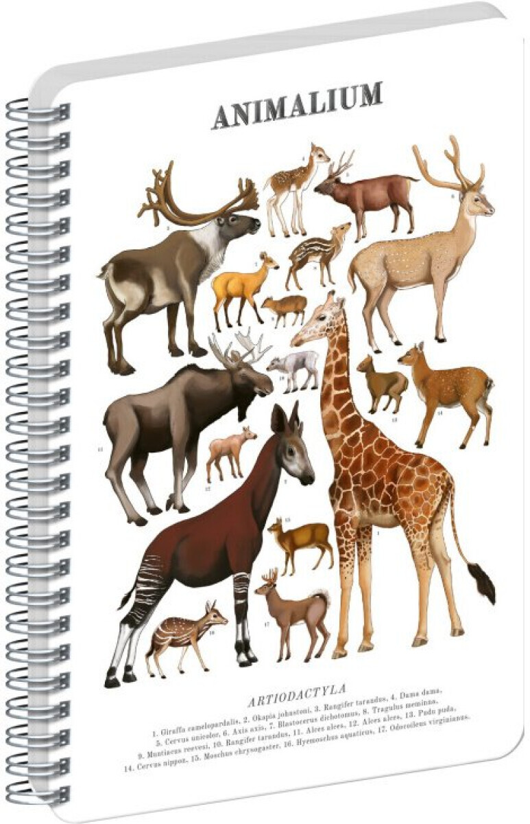 Spirálový blok Animalium – Sudokopytníci