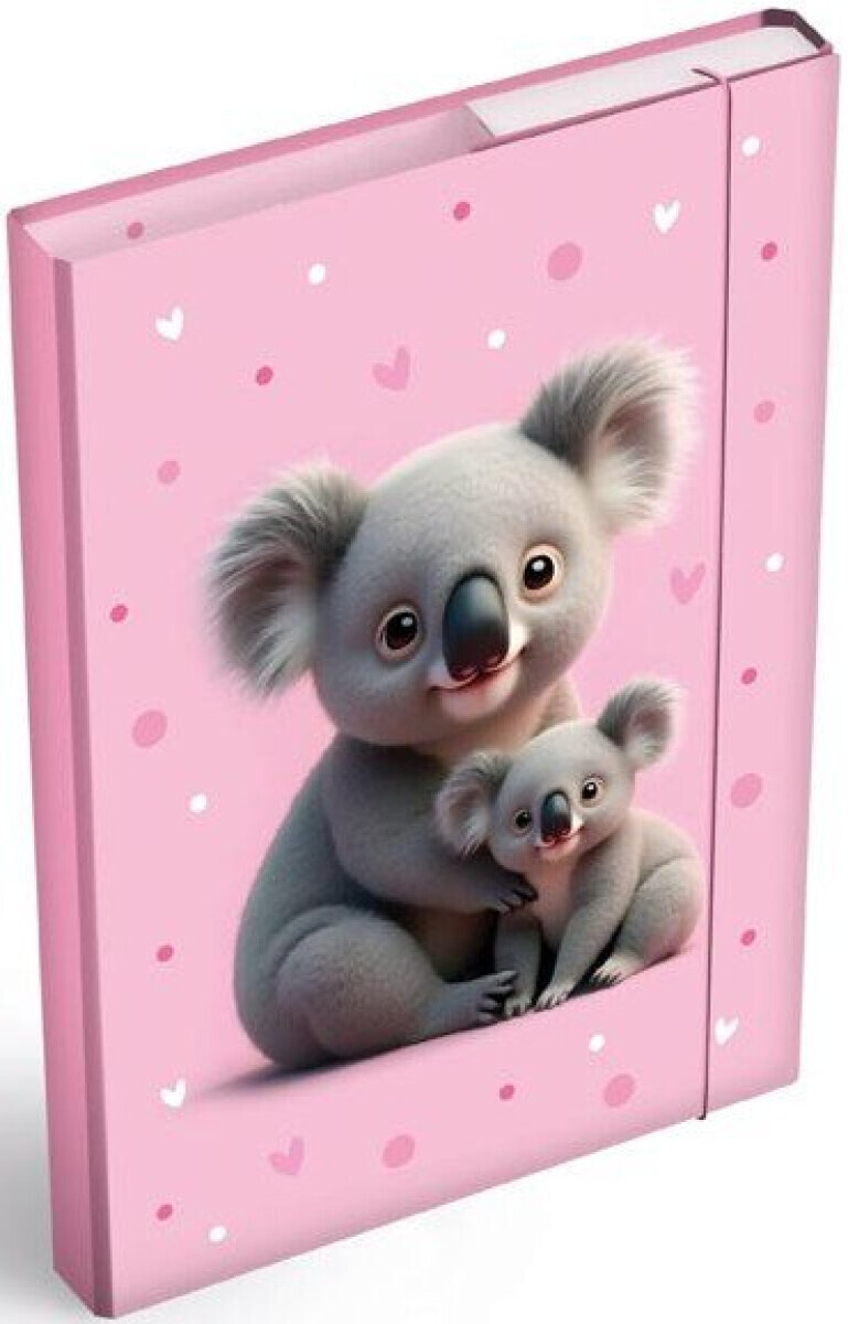 Desky na sešity MFP box A5 Koala