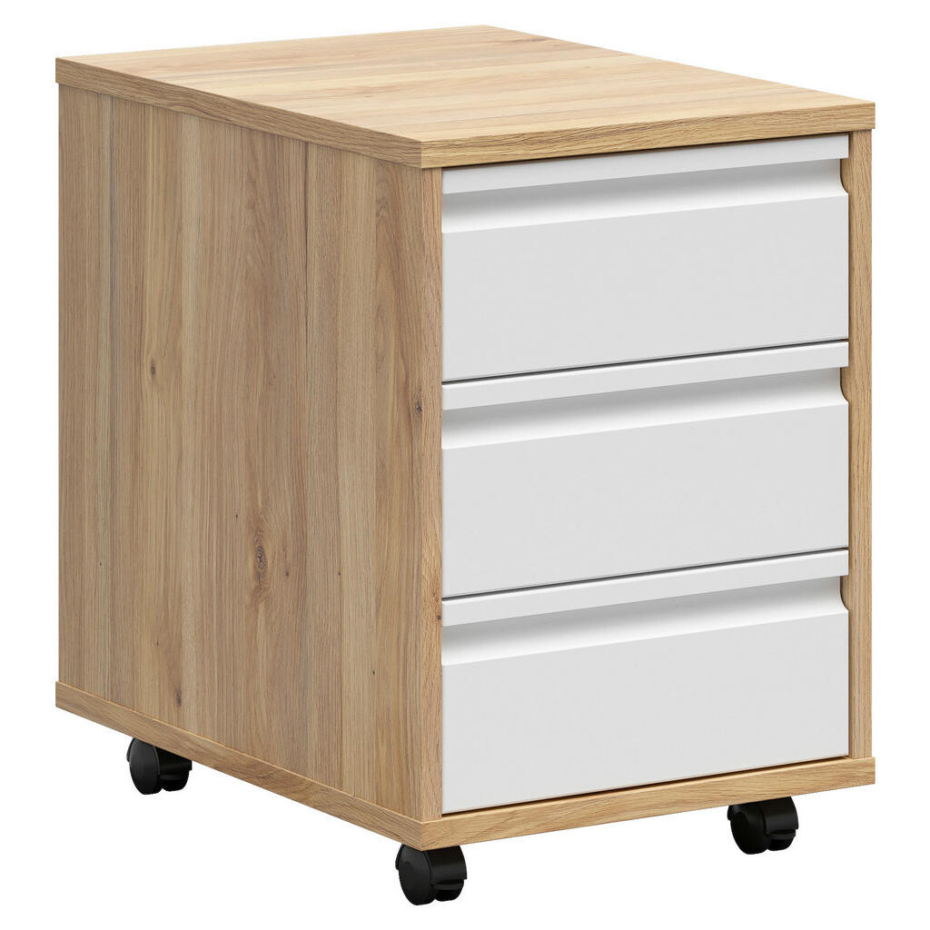 Carryhome POJÍZDNÝ KONTEJNER, 43/66,5/56 cm