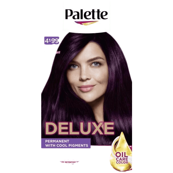 Palette Deluxe barva na vlasy Tmavě fialový 4-99