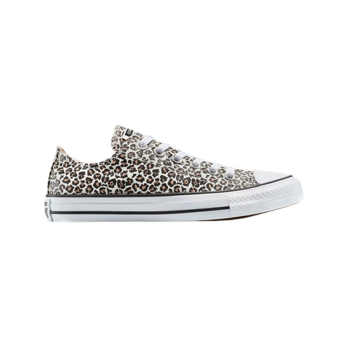 Converse  Baskets  Chuck Taylor All Star Hi motif animalier