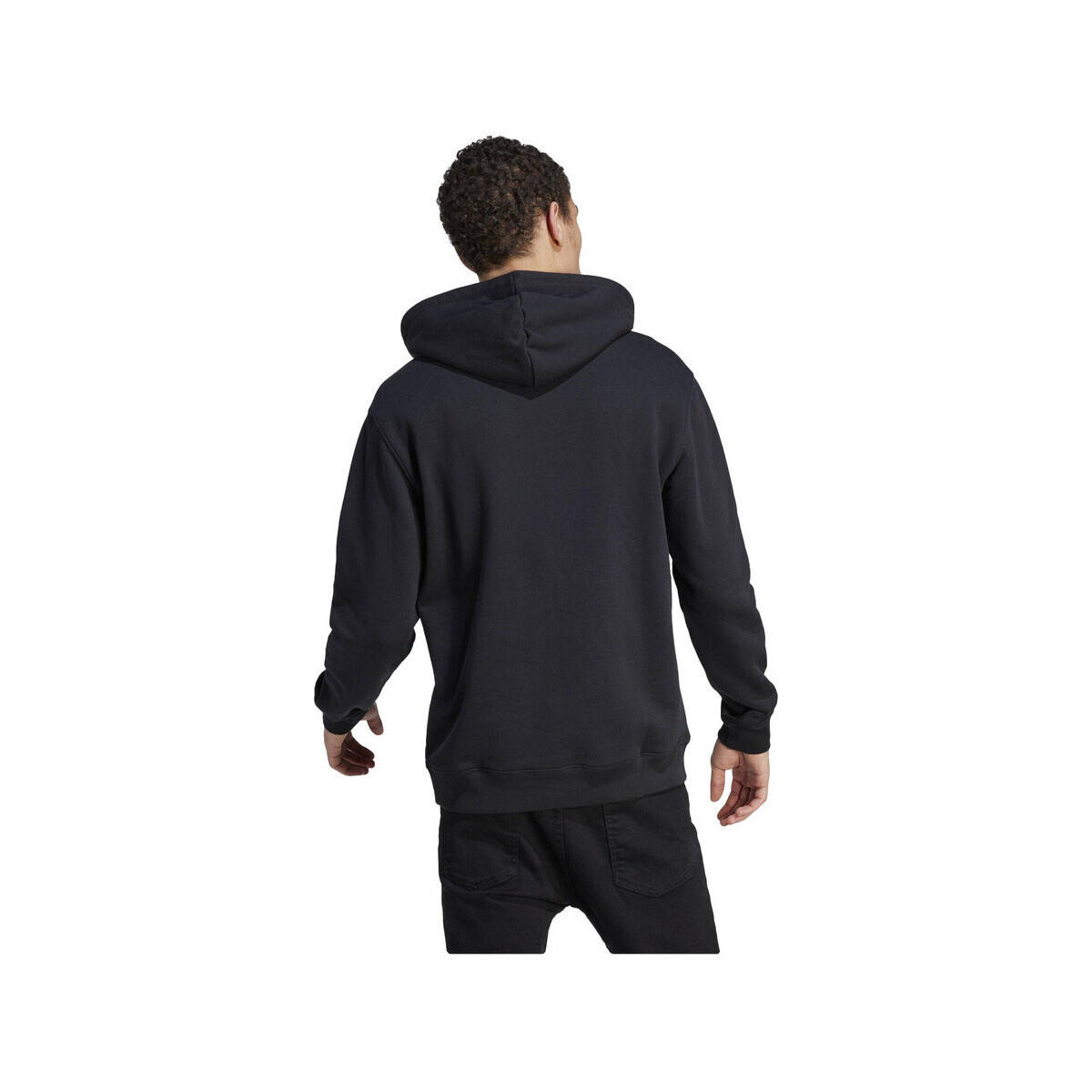 adidas  Sweat-shirt  Adicolor Classics Trefoil noir  Černá
