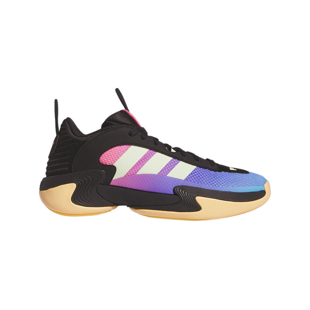 adidas  Baskets  Exhibit Select Mid coloré  Černá