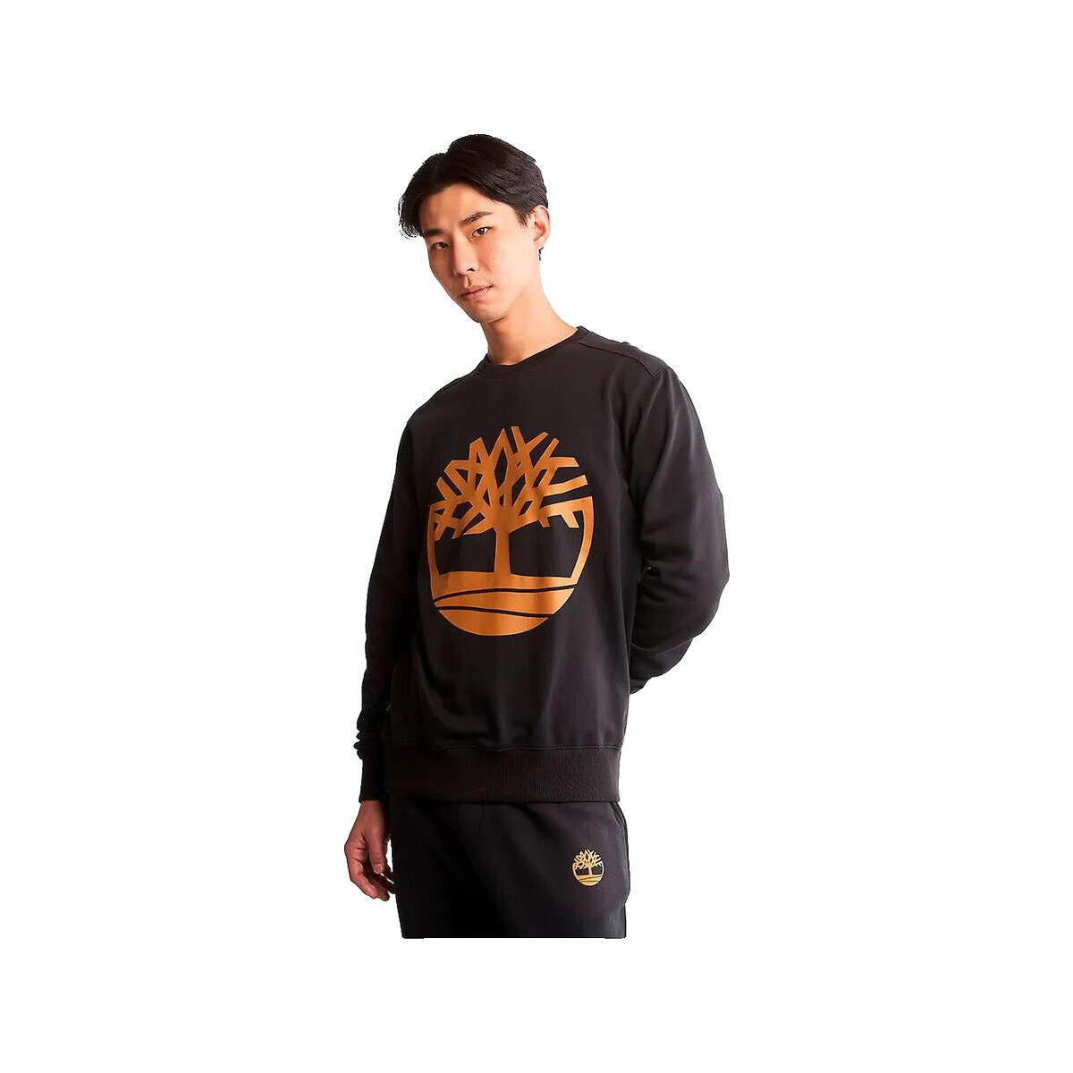 Timberland  Sweat-shirt  80% coton 20% polyester noir  Černá