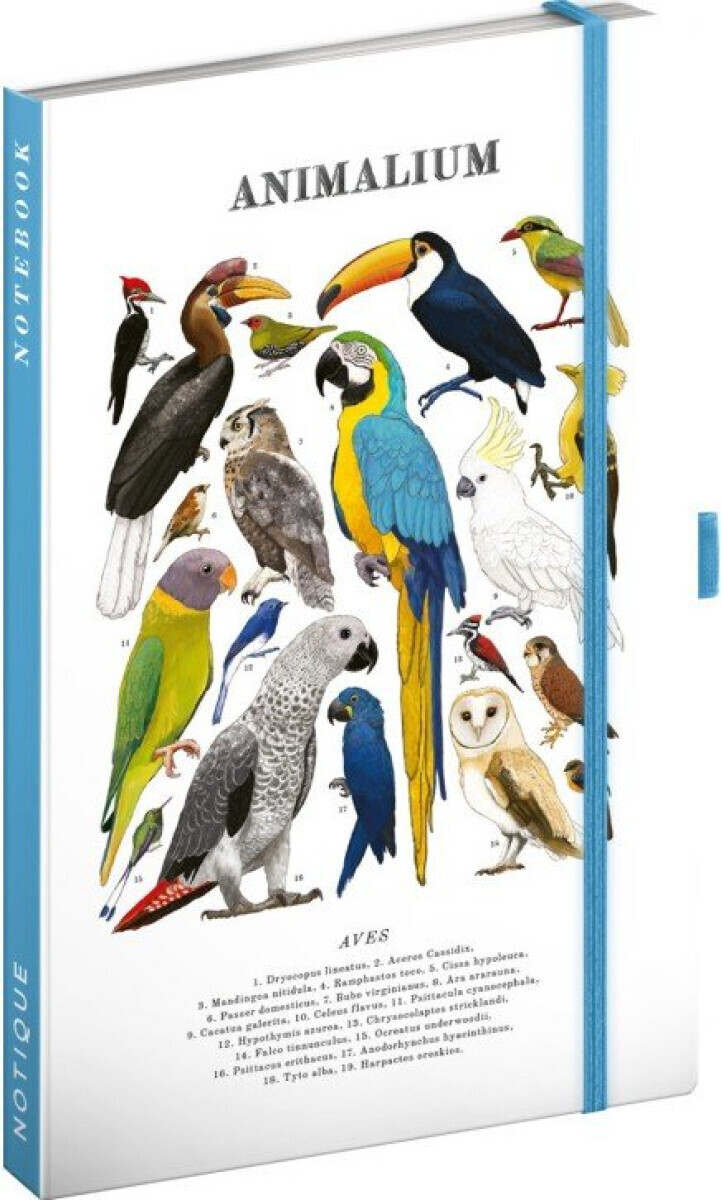 Animalium – Ptáci, linkovaný, 13 x 21 cm
