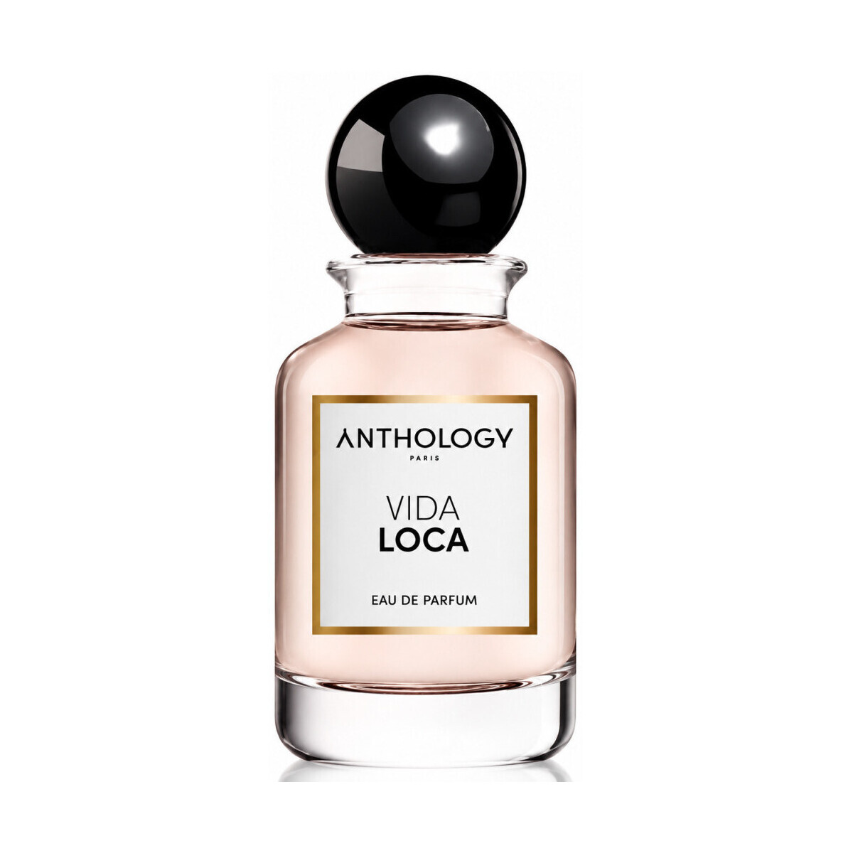 Anthology  Vida Loca Eau de Parfum