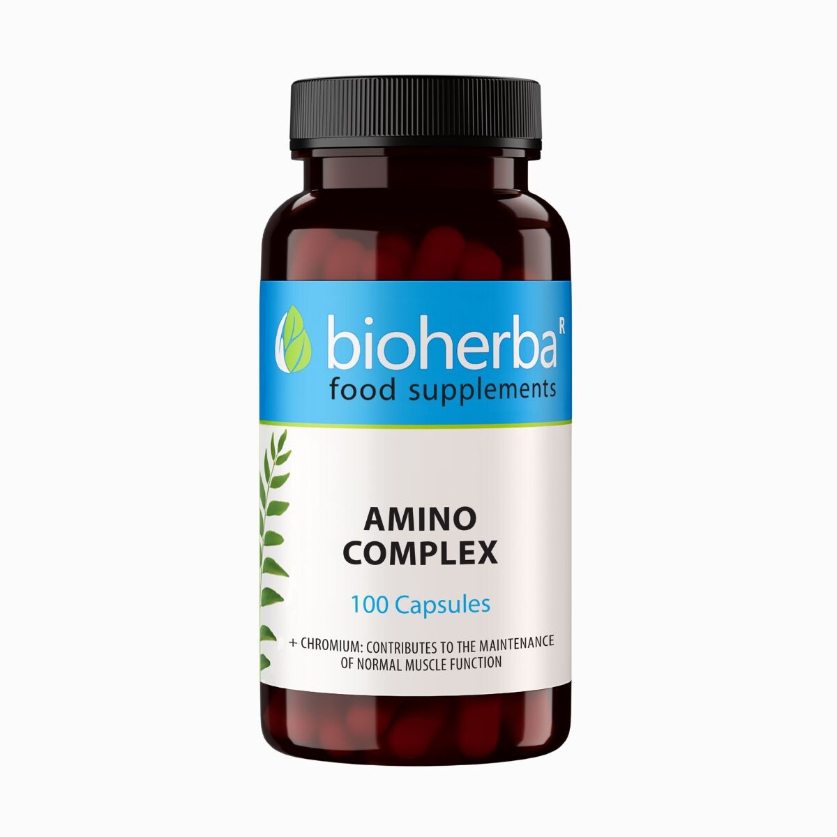 Amino komplex – 100 kapslí – Bioherba
