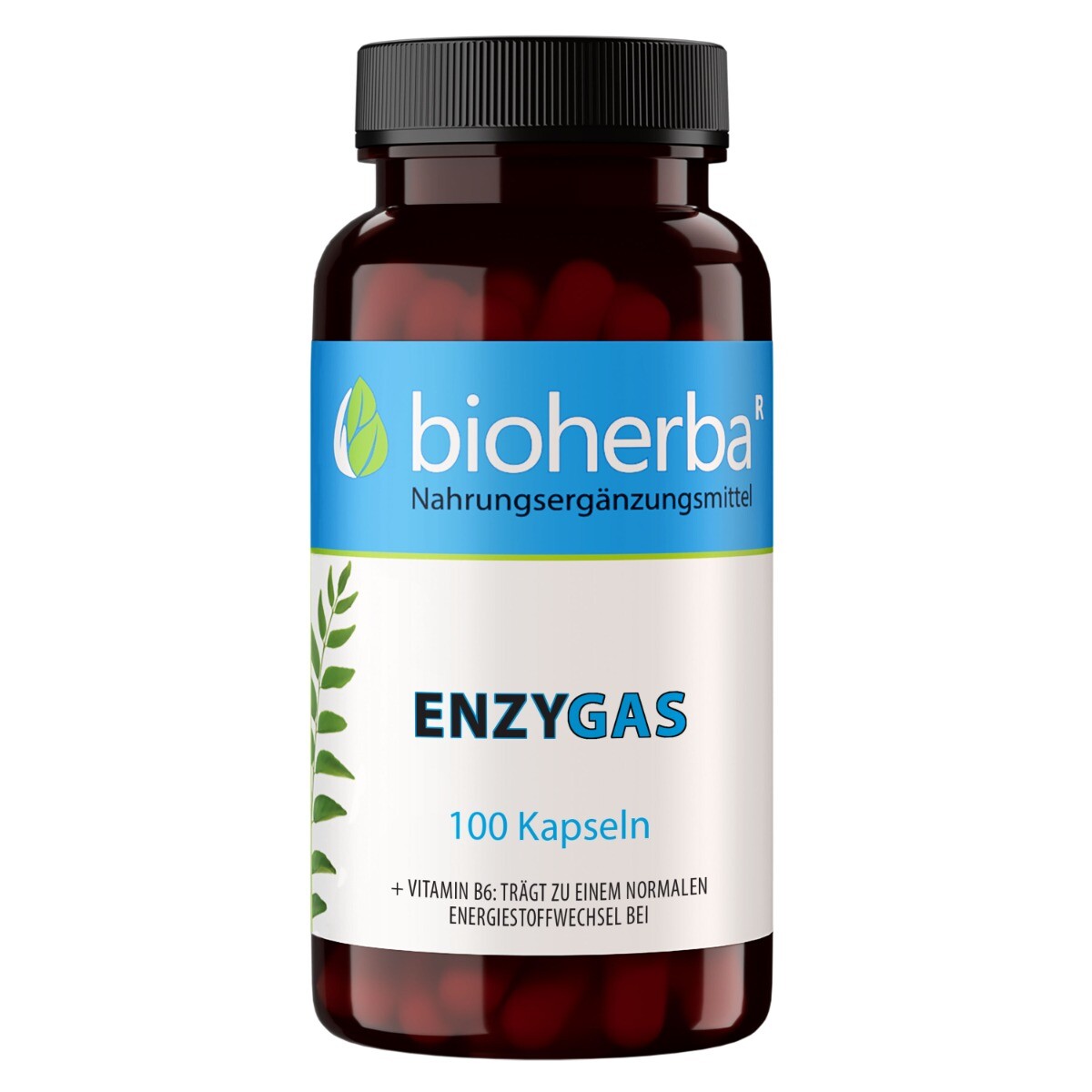 Anti-Gas – enzymy proti nadýmání – 100 kapslí – Bioherba