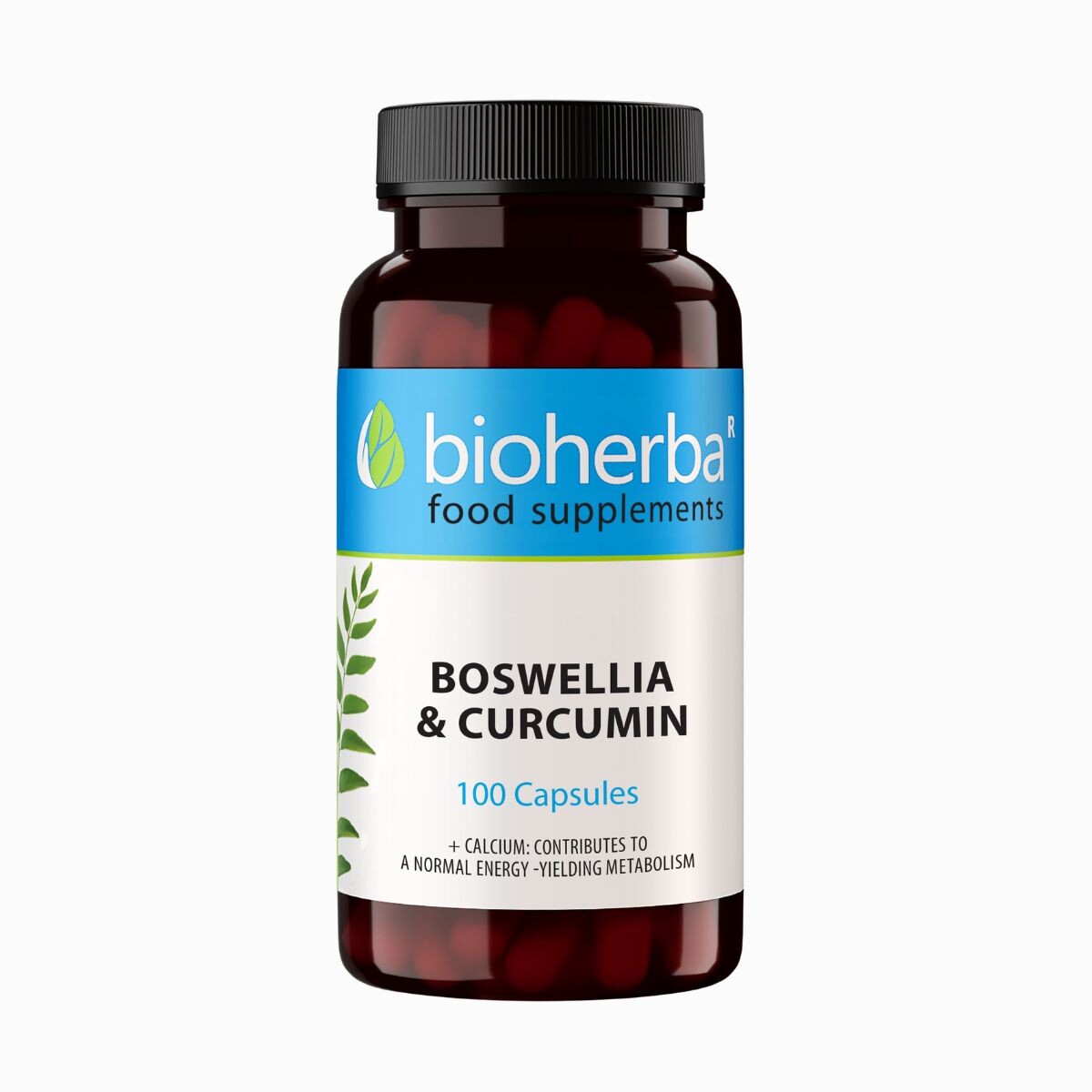 Boswellia a kurkumin – 100 kapslí – Bioherba