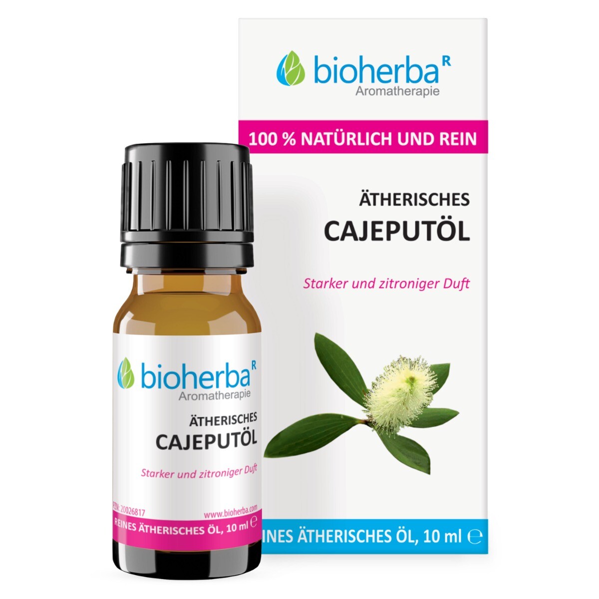 Esenciální olej kajeput (Melaleuka) – 10 ml – Bioherba