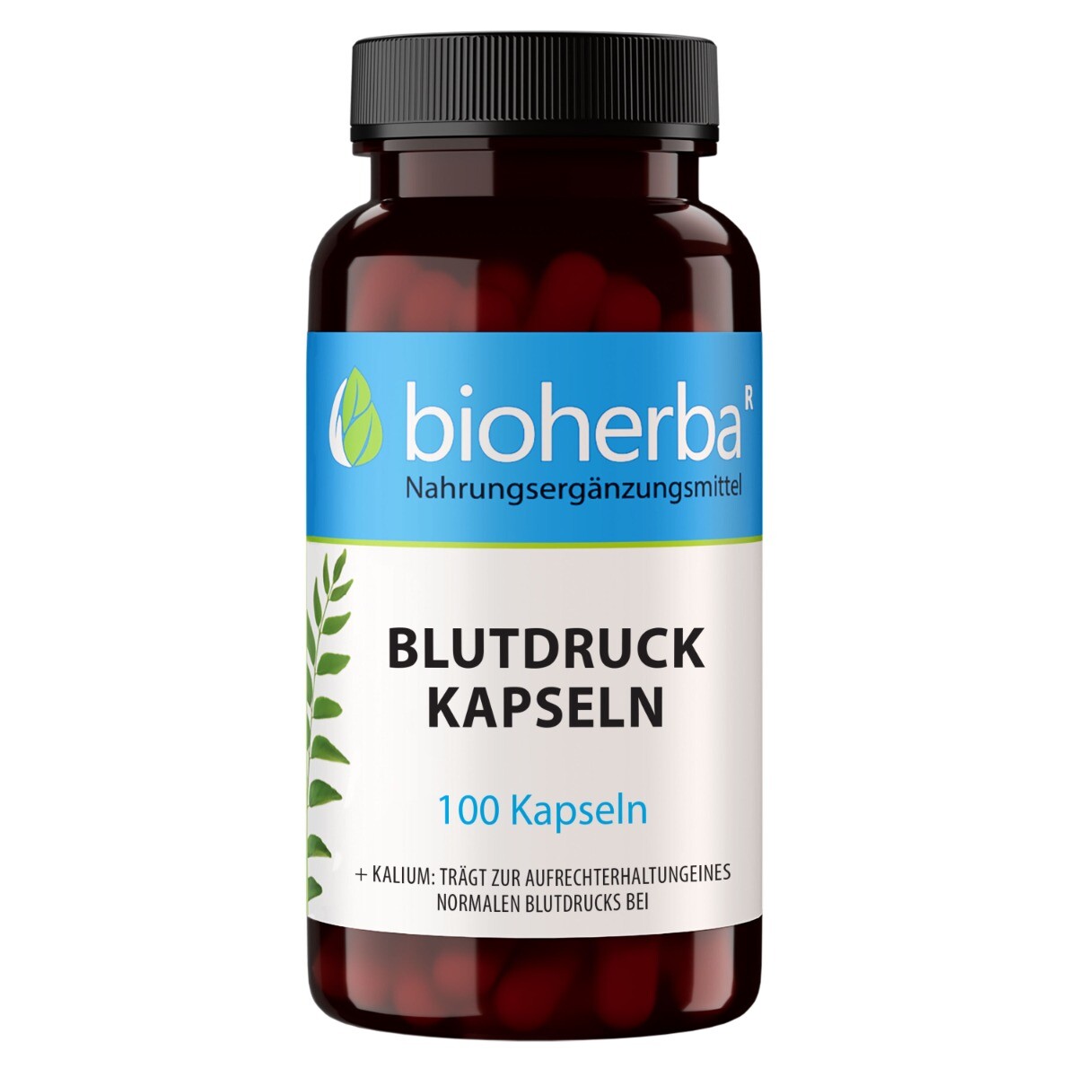 Krevní tlak – 100 kapslí – Bioherba