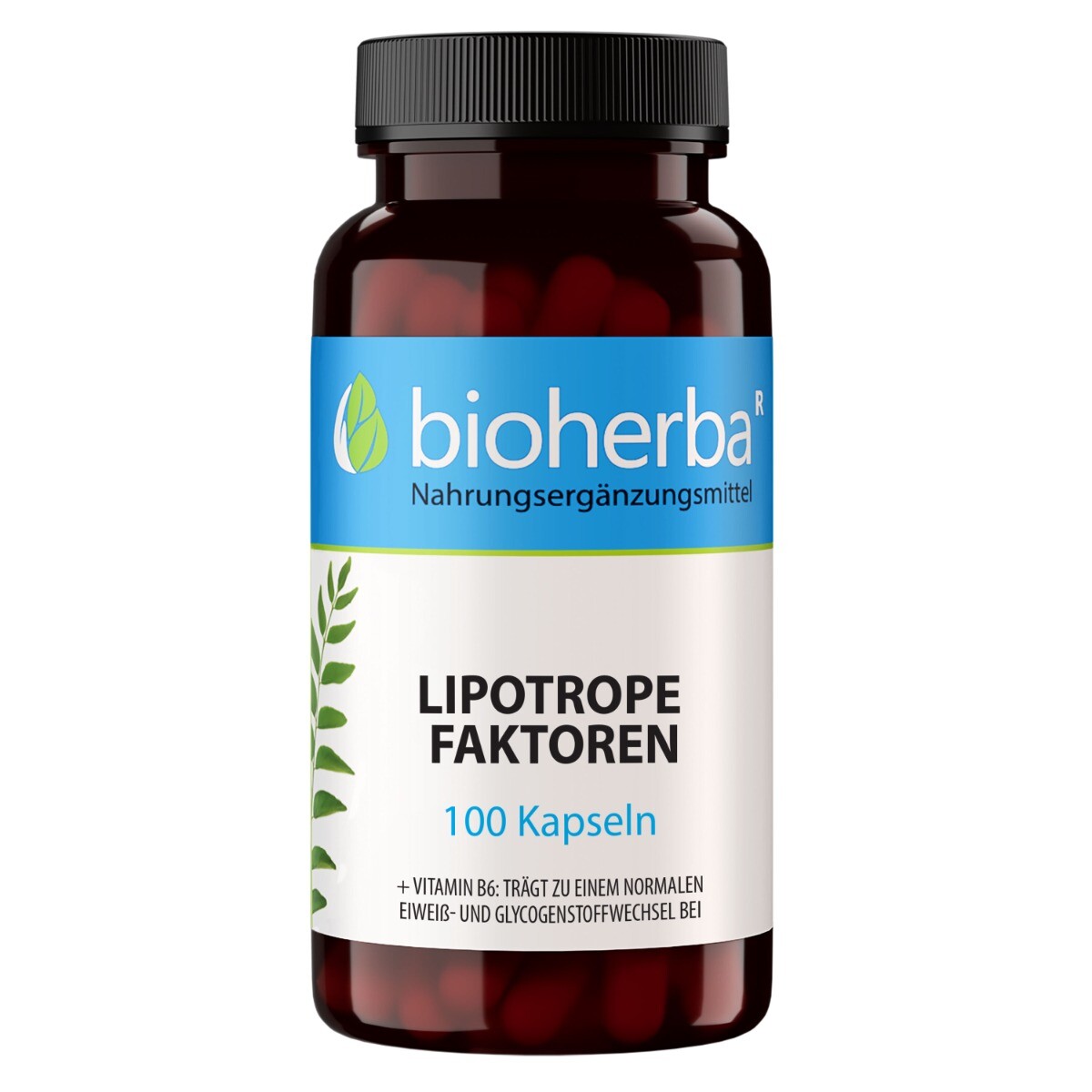 Lipotropní faktory – 100 kapslí – Bioherba