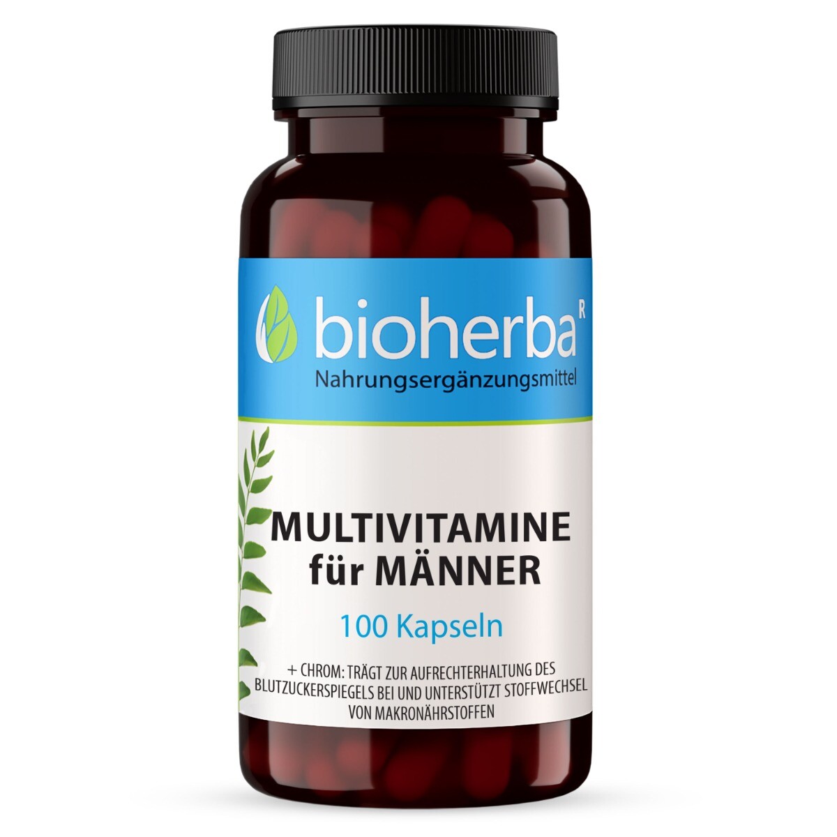 Multivitamin pro muže – 100 kapslí – Bioherba