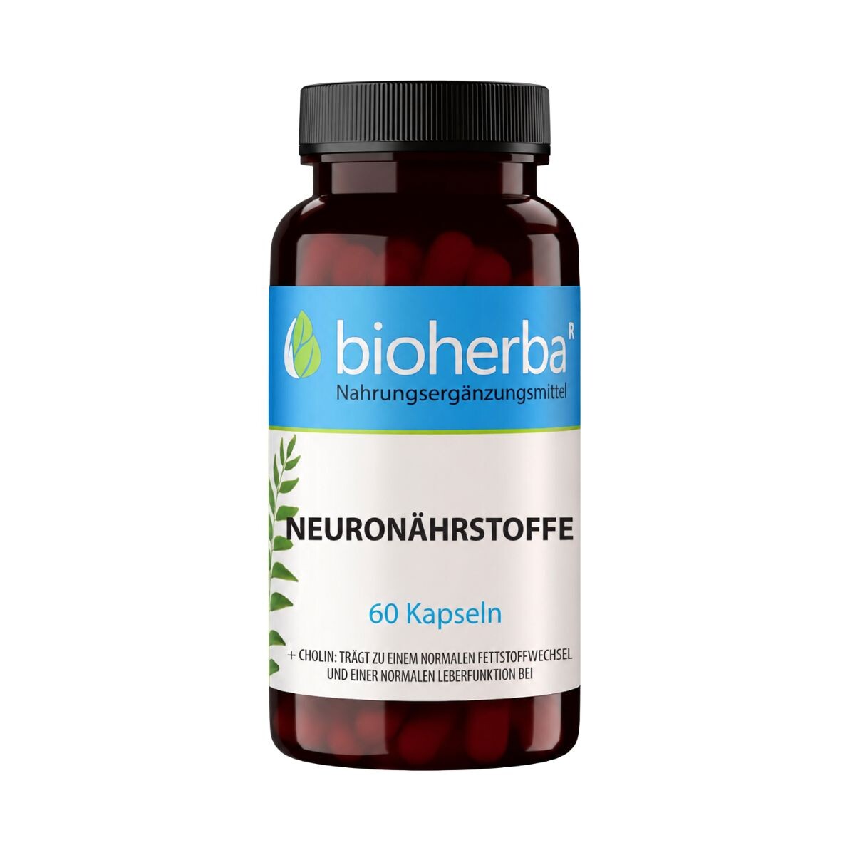 Neuroživiny – 60 kapslí – Bioherba