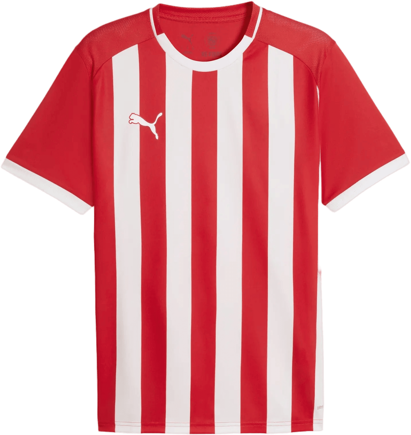 Dres Puma teamLIGA26 Striped