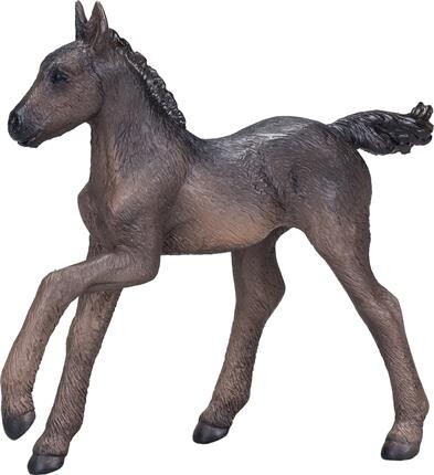 Mojo Animal Planet Arabské hříbě černá