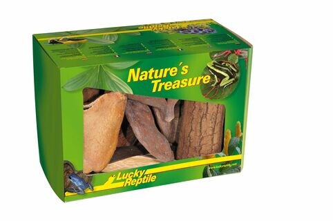 Lucky Reptile Nature's Treasure