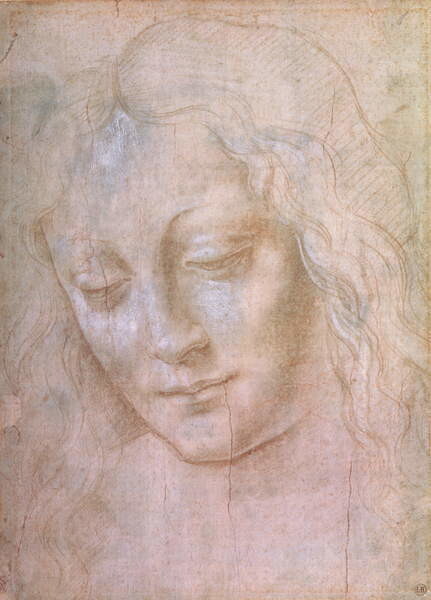 Leonardo da (school of) Vinci Plakát, Obraz - Leonardo da Vinci - Hlava ženy, Leonardo da (school of) Vinci, 30 × 40 cm