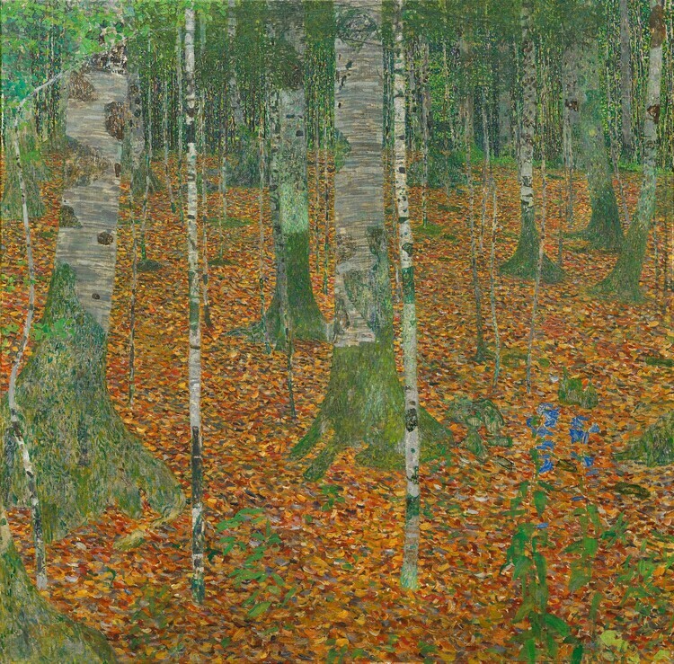 Gustav Klimt Plakát, Obraz - The Birch Wood (1903), Gustav Klimt, 40 × 40 cm