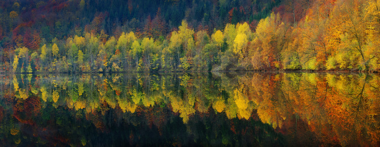 Burger Jochen Plakát, Obraz - Autumnal silence, Burger Jochen, 60 × 23.2 cm