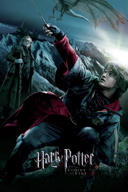Europosters Plakát, Obraz - Harry Potter - Ohnivý pohár - Harry, 26.7 × 40 cm