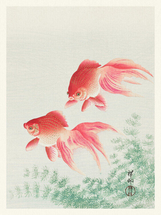 Ohara Koson Plakát, Obraz - Two Veil Goldfish, Ohara Koson, 30 × 40 cm
