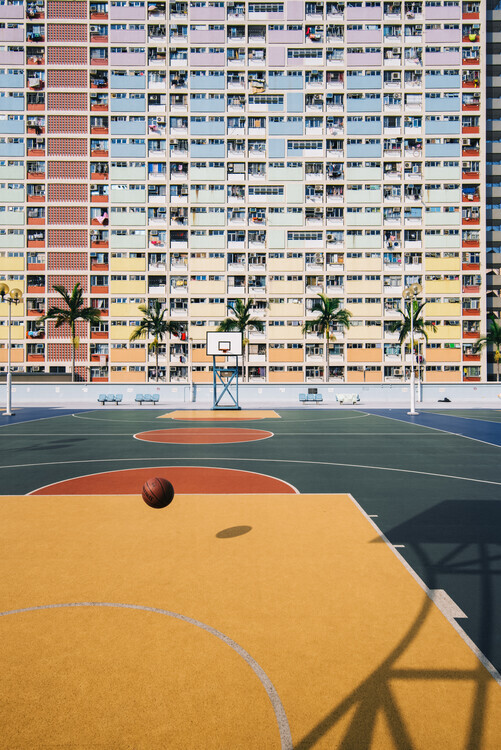 Kevin Jiang Plakát, Obraz - Rainbow, Kevin Jiang, 26.7 × 40 cm
