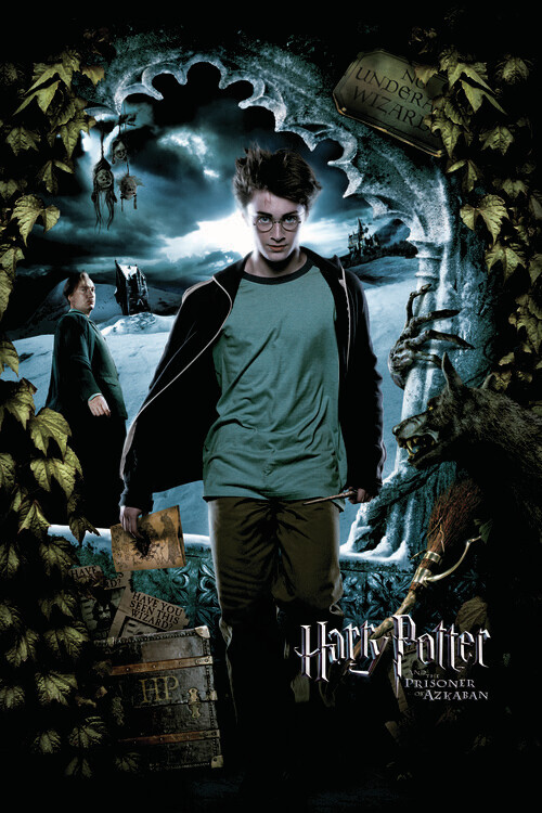 Europosters Plakát, Obraz - Harry Potter - Harry, 26.7 × 40 cm