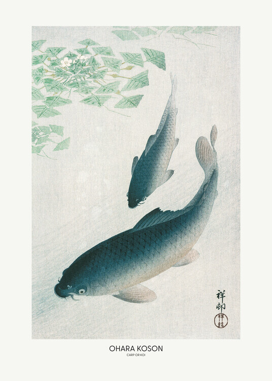 Ohara Koson Plakát, Obraz - Carp Or Koi, Ohara Koson, 30 × 40 cm