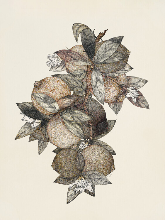 Rufus King Plakát, Obraz - Pomegranate (1867) Rufus King, 30 × 40 cm