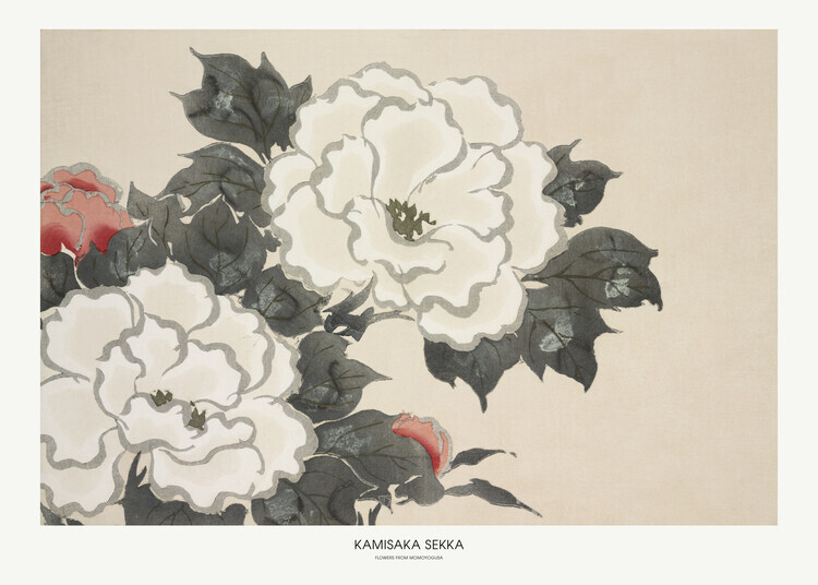Kamisaka Sekka Plakát, Obraz - Flowers From Momoyogusa, Kamisaka Sekka, 40 × 30 cm