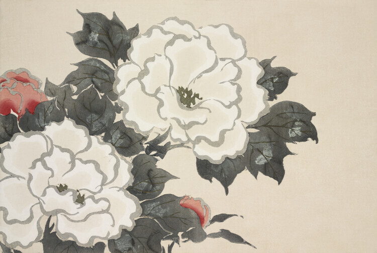 Kamisaka Sekka Plakát, Obraz - Flowers From Momoyogusa, Kamisaka Sekka, 40 × 26.7 cm