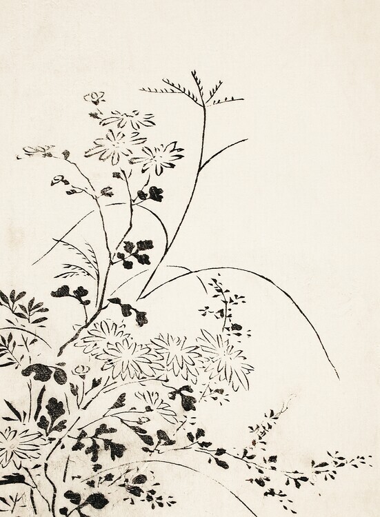 Miyazaki Yuzen Plakát, Obraz - Autumn Flowers and Grasses (1762), Miyazaki Yuzen, 30 × 40 cm