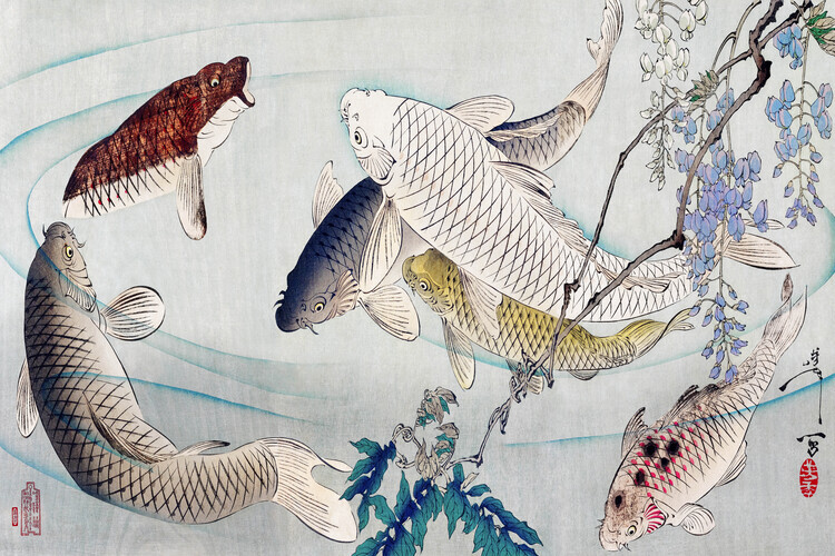 Tsukioka Yoshitoshi Plakát, Obraz - Six Carp Swimming Beneath Wisteria (1889), Tsukioka Yoshitoshi, 40 × 26.7 cm