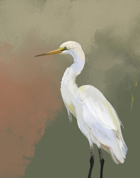 Josie George Plakát, Obraz - Elegant Egret Portrait, Josie George, 30 × 40 cm