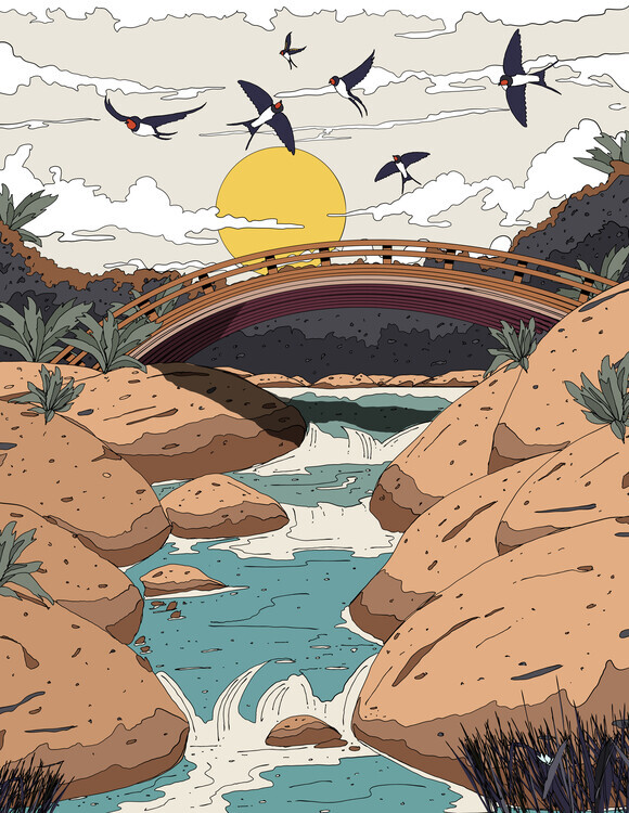 Nicholas Plakát, Obraz - Sunrise River Swallows, Nicholas, 30 × 40 cm