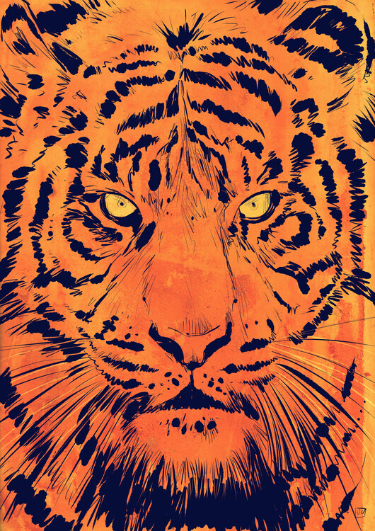 Giuseppe Cristiano Plakát, Obraz - Intense Tiger Gaze, Giuseppe Cristiano, 30 × 40 cm