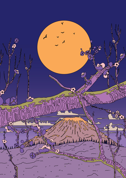 Nicholas Plakát, Obraz - Full Moon Over Fuji Blossoms, Nicholas, 30 × 40 cm
