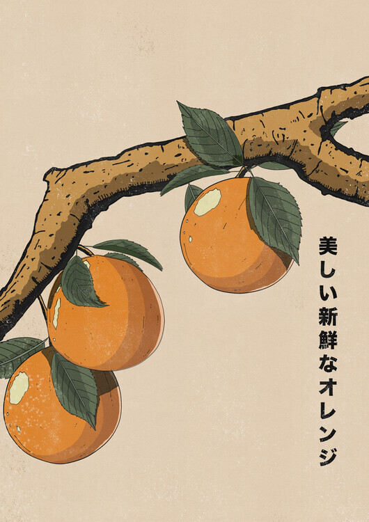Nicholas Plakát, Obraz - Beautiful Fresh Oranges, Nicholas, 30 × 40 cm