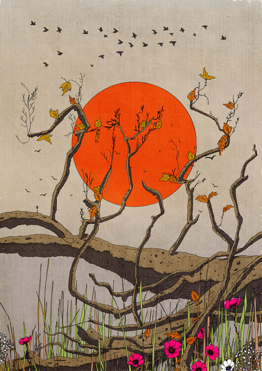Nicholas Plakát, Obraz - Autumn Sun Over Branches, Nicholas, 30 × 40 cm