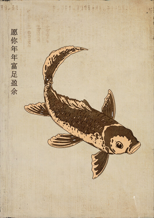 Nicholas Plakát, Obraz - Japanese Koi Fish, Nicholas, 30 × 40 cm