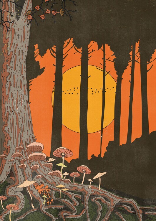 Nicholas Plakát, Obraz - Twilight Mushroom Forest, Nicholas, 30 × 40 cm