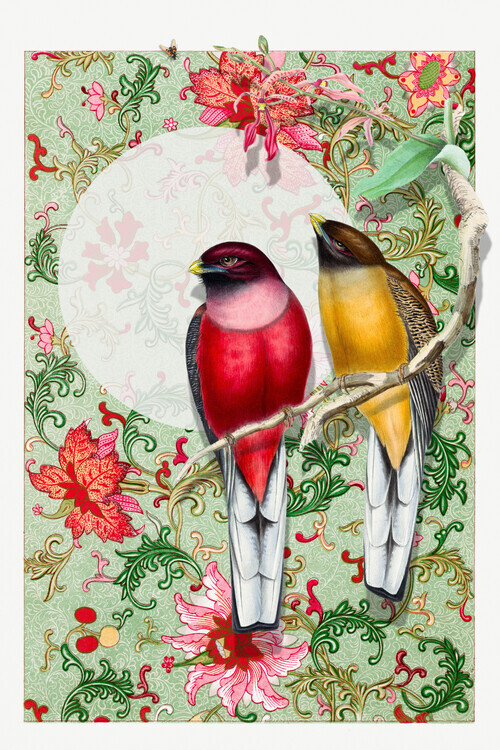 Marja van den Hurk Plakát, Obraz - Vibrant Birds Floral Pattern, Marja van den Hurk, 26.7 × 40 cm